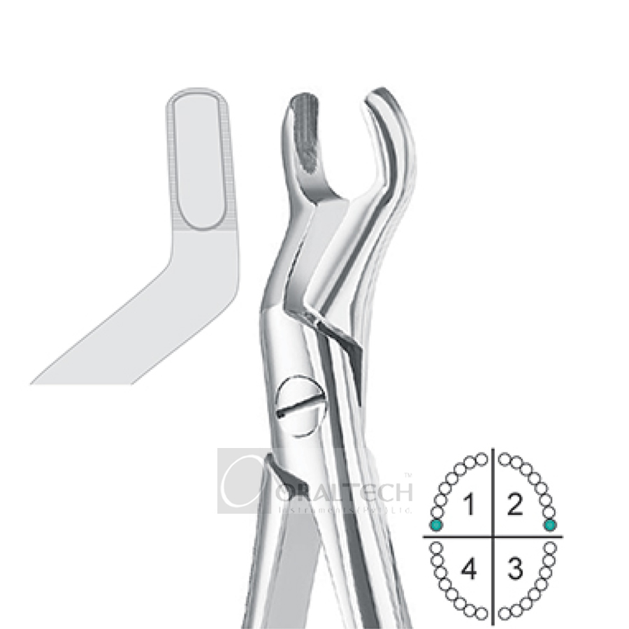 Upper Third Molars Extracting Forceps