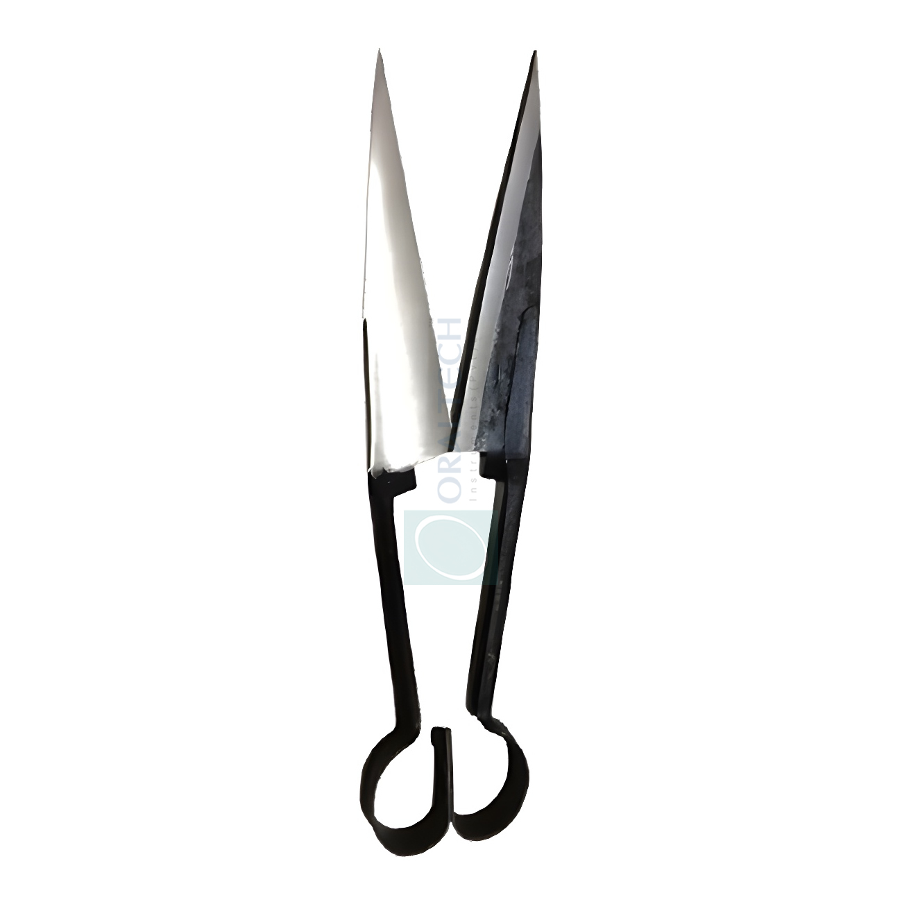 Sheep Shears