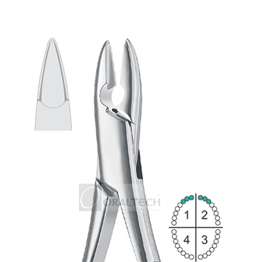 Upper Incisors & Canines Extracting Forceps
