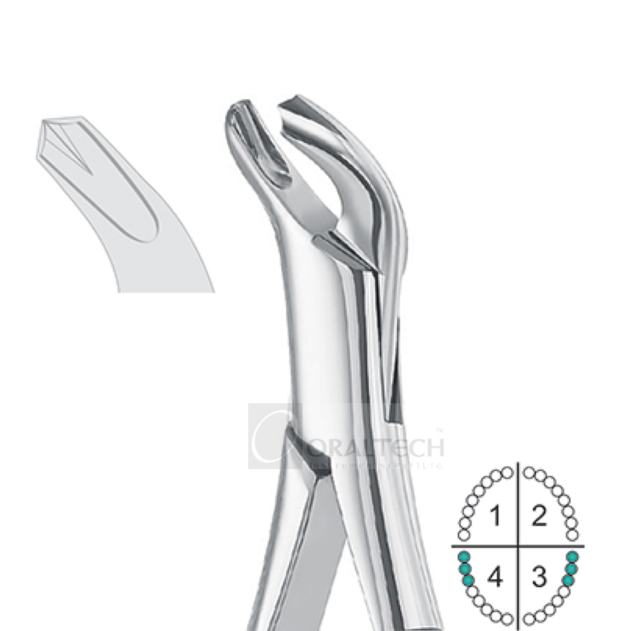 Lower Molars Extracting Forceps