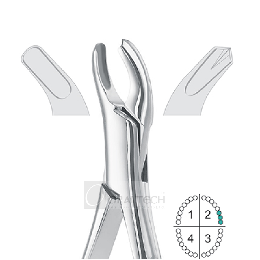Upper Molars Left Extracting Forceps