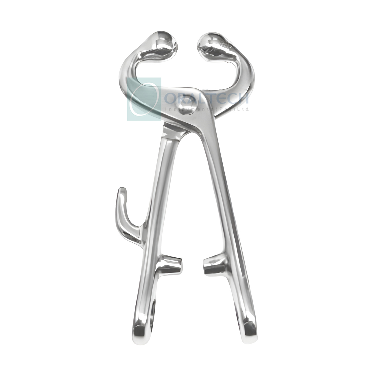 Bull Holders (With Hole & Hook)