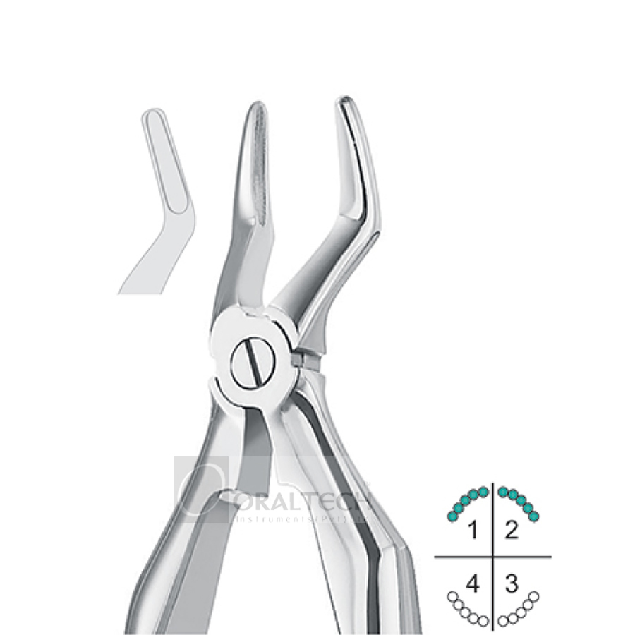 Klein Upper Roots