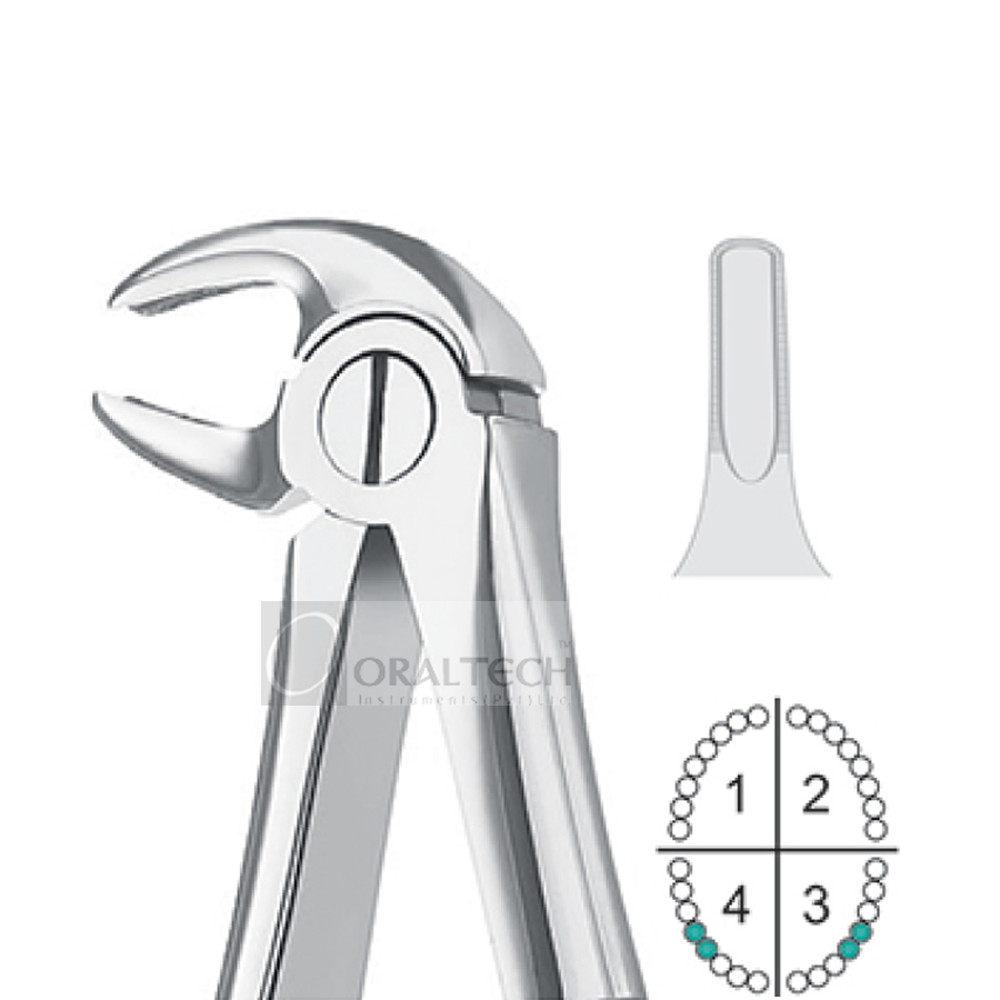 Lower Premolars Extracting Forceps