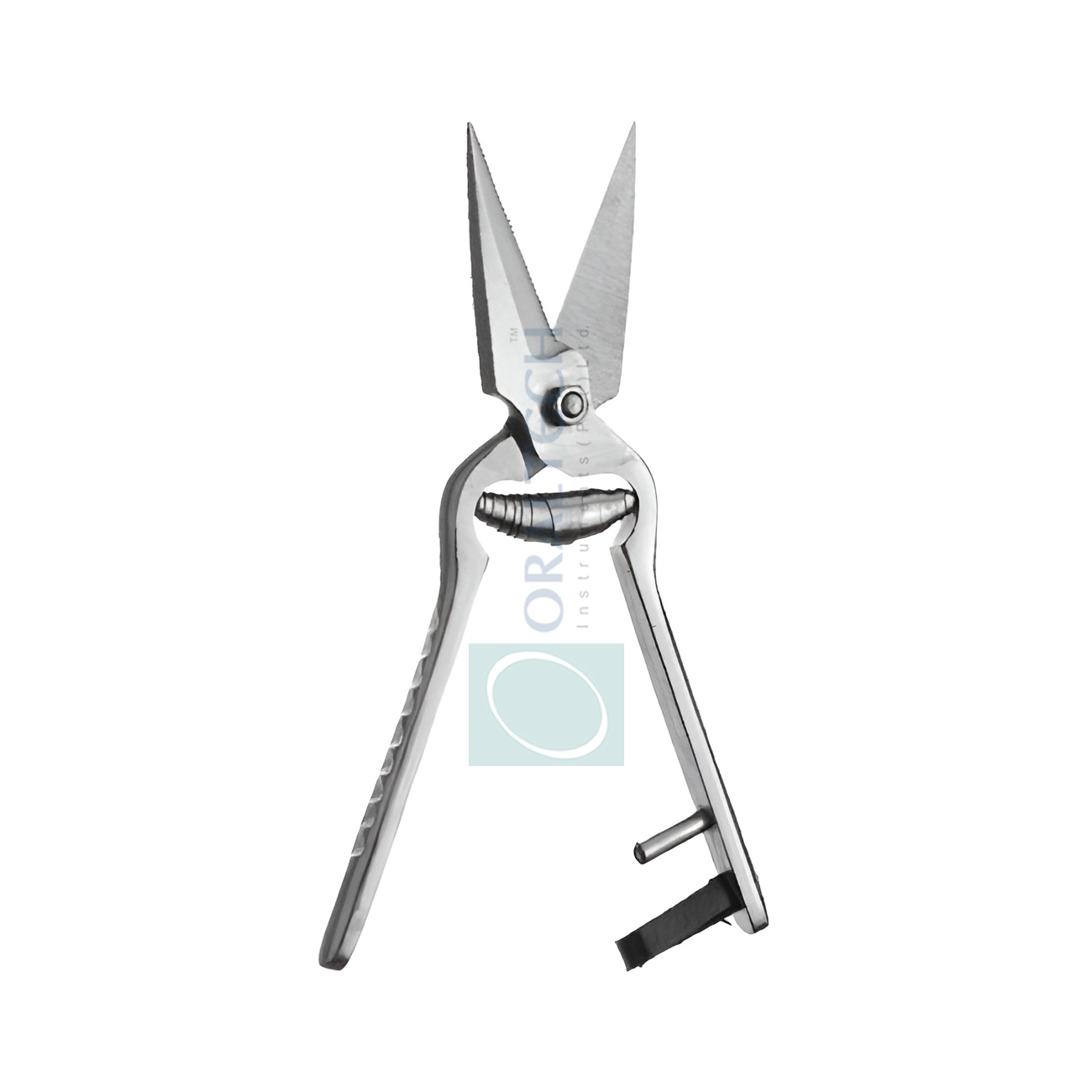 Henning Hoof Rot Shear