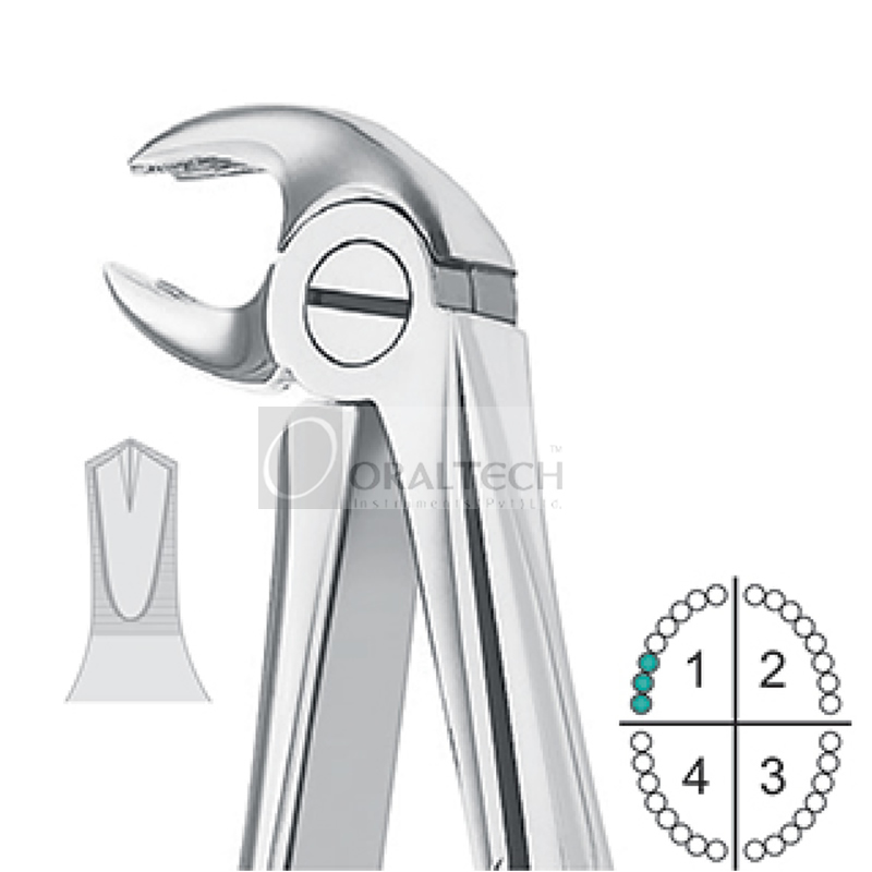 Lower Molars Extracting Forceps