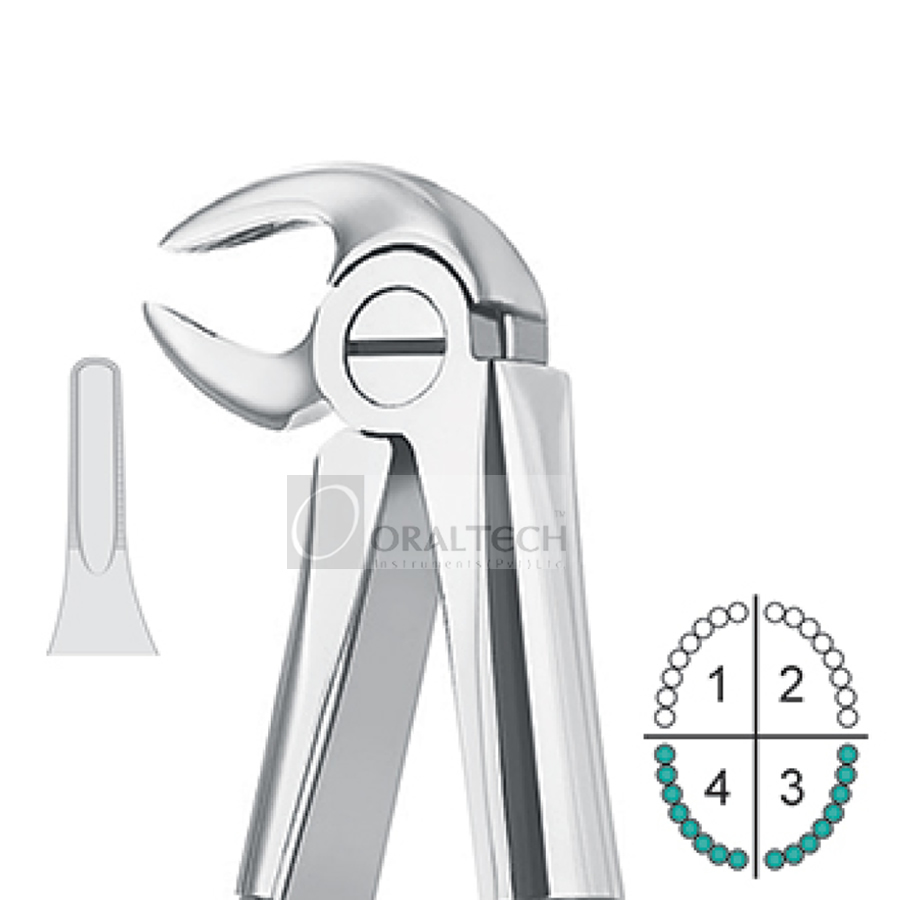Lower Roots Extracting Forceps